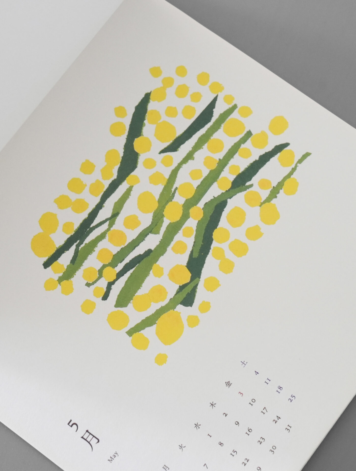 椎木彩子 日本の植物 沖縄