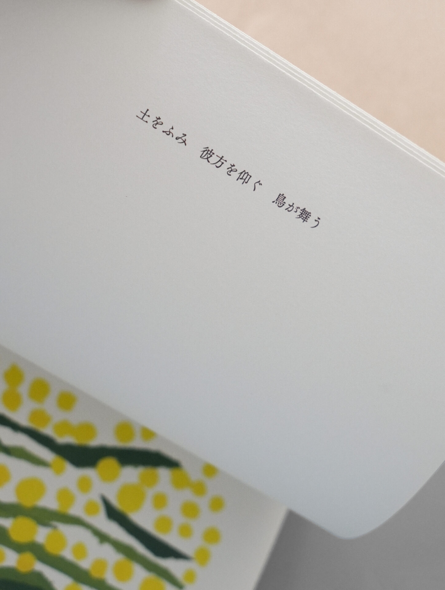 椎木彩子 日本の植物 沖縄