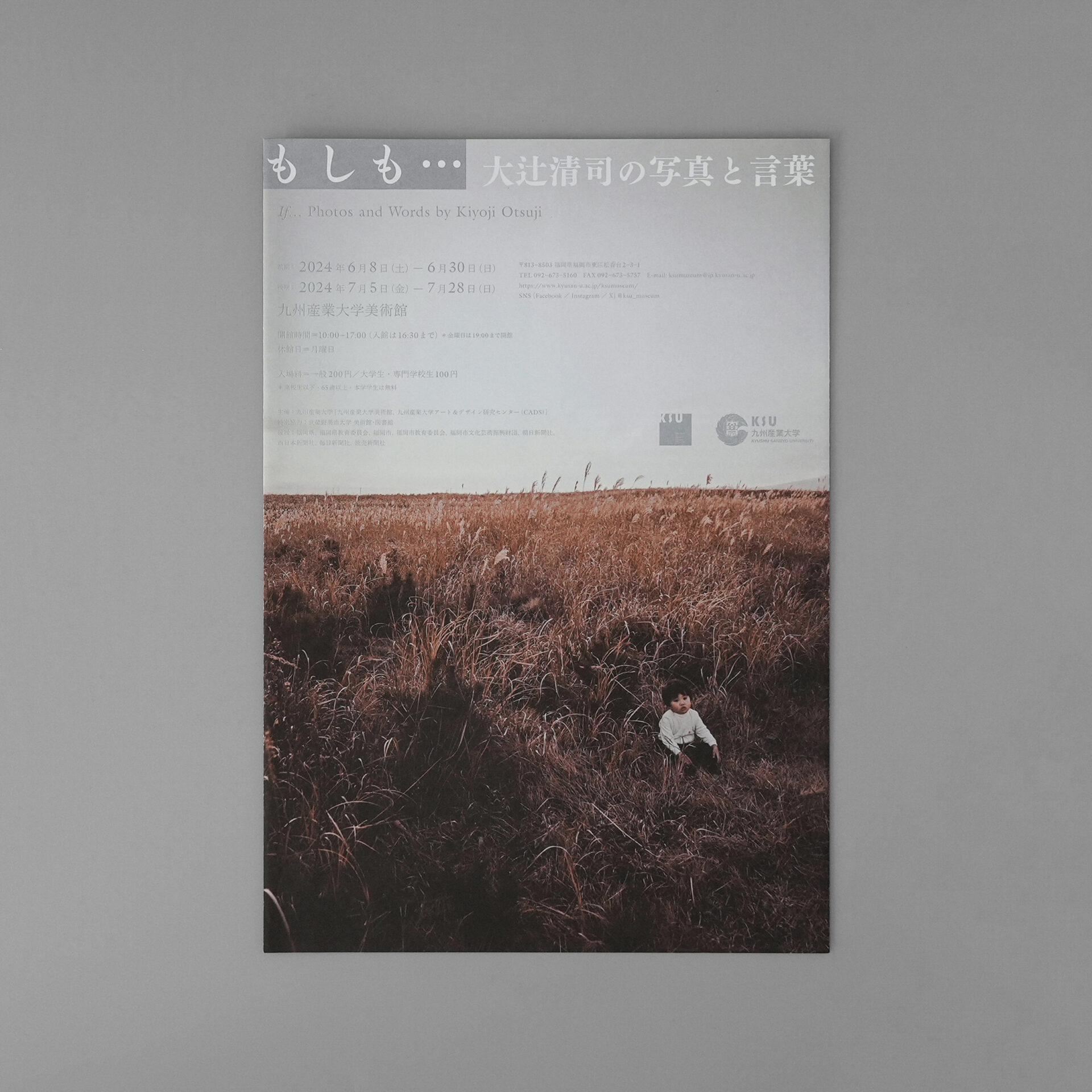 戦争と美術 チェン・チンヤオ展