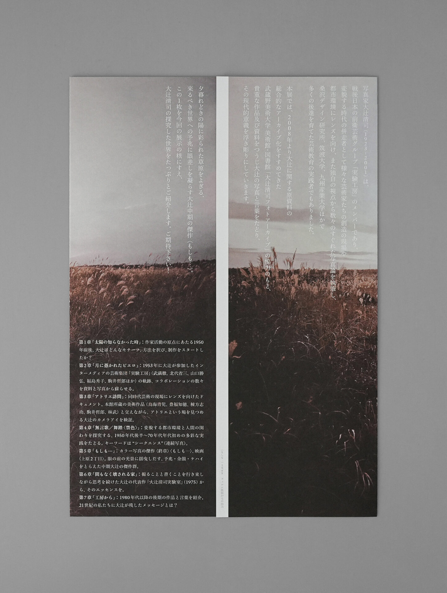 もしも… 大辻清司の写真と言葉