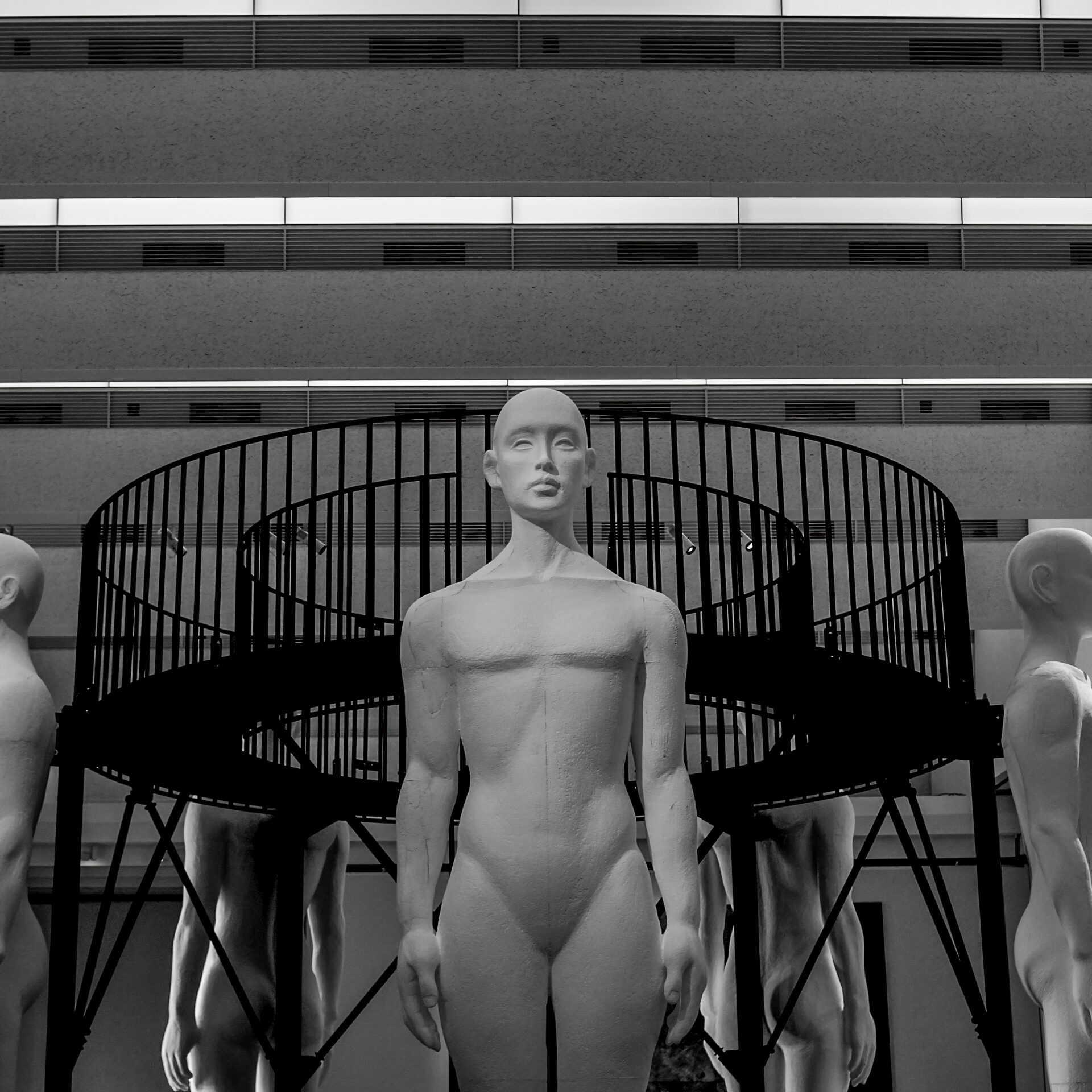 Olectronica New Land〈O〉