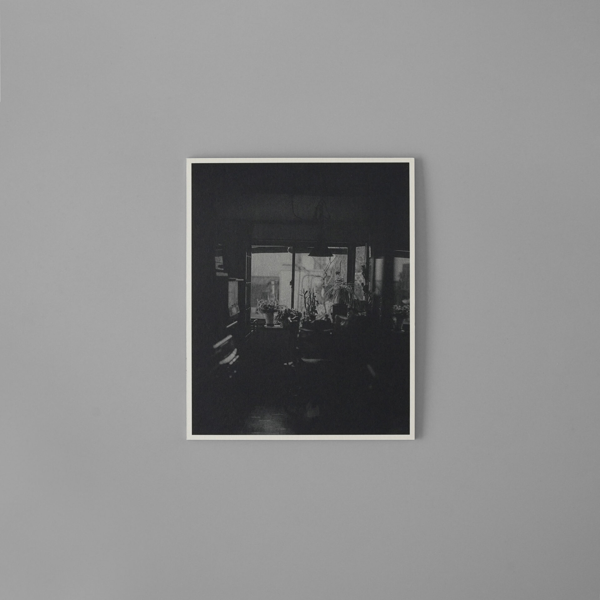 小島直人 アンシーン