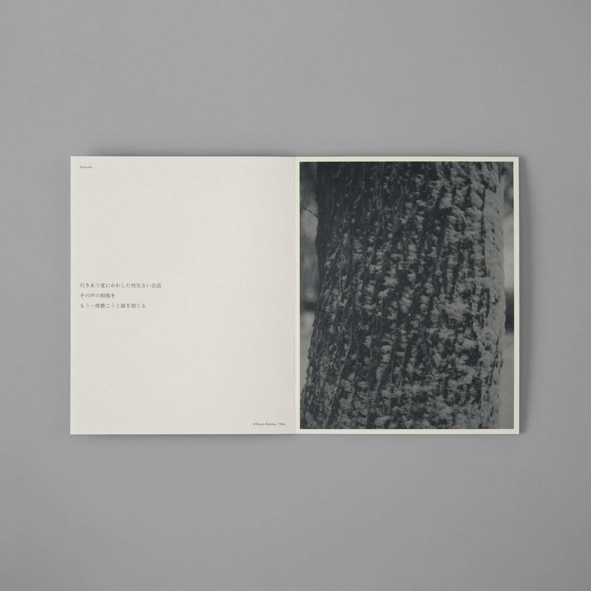 小島直人 アンシーン