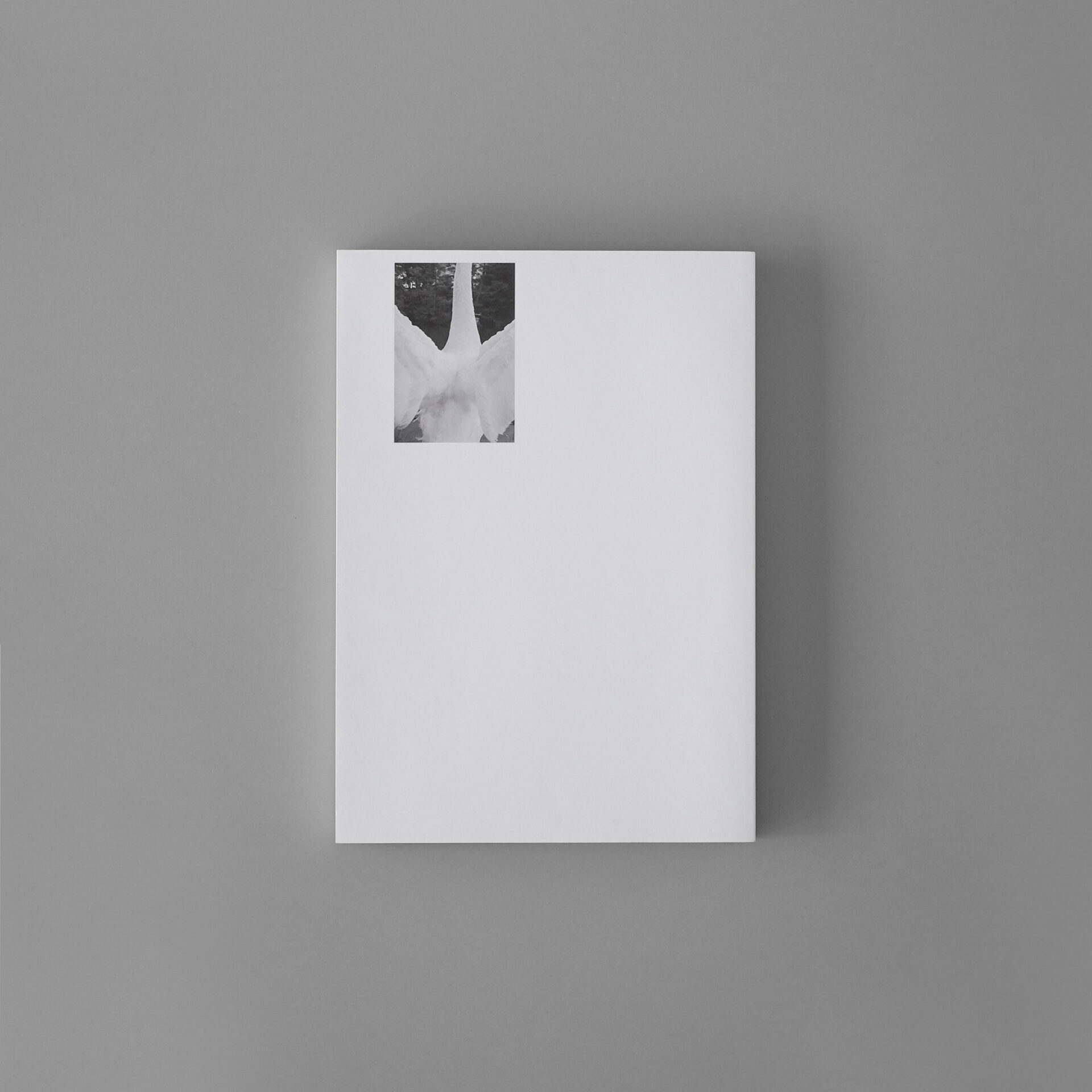 荻野智生 庭先庭前